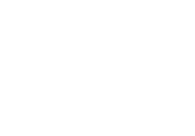 sulaimaani logo